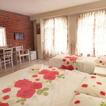 Hotell Divna 3*